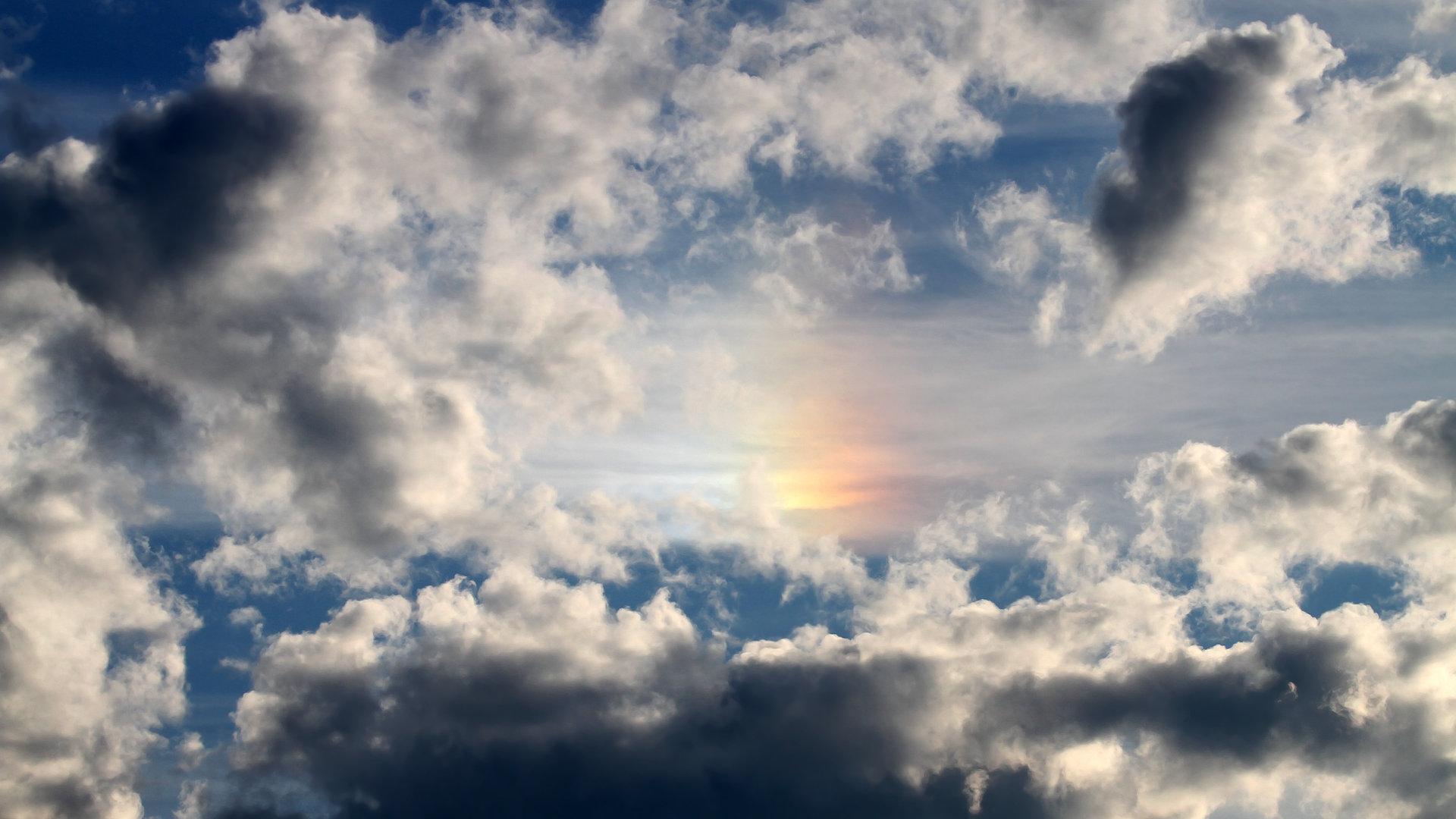 钢铁防线前的绚烂独舞，布伦森撕裂体系，灰熊终结雄鹿神话