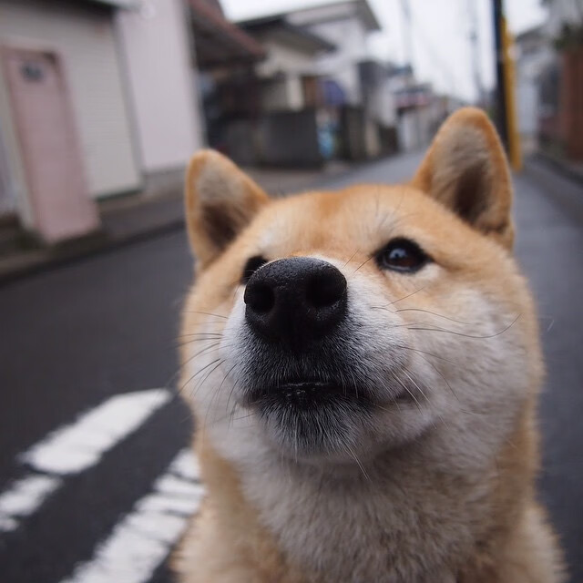 一边倒的表演赛，山西队碾压老鹰，拉文38+之夜见证传奇里程碑