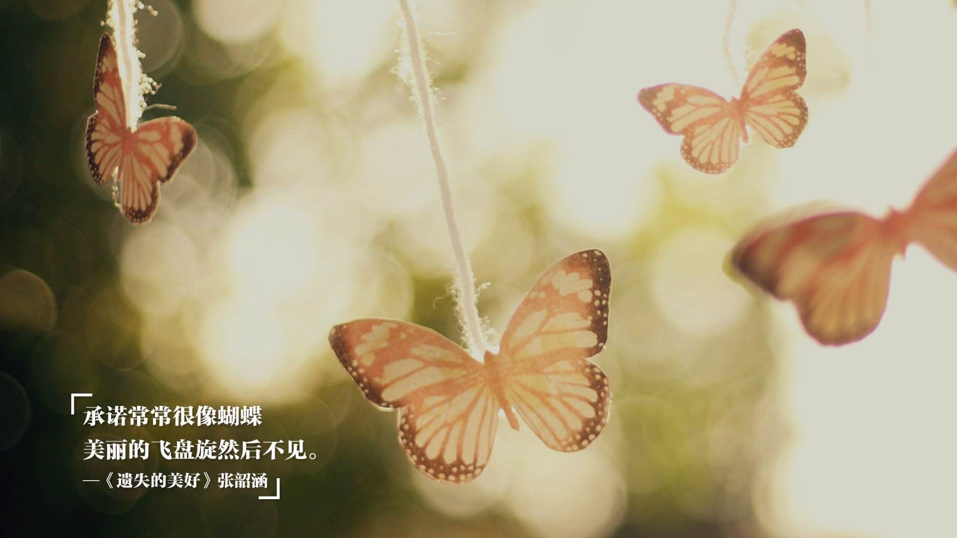 当巴斯克雄狮的怒吼穿越84年，梅西在卡塔尔完成对法兰西的历史重演