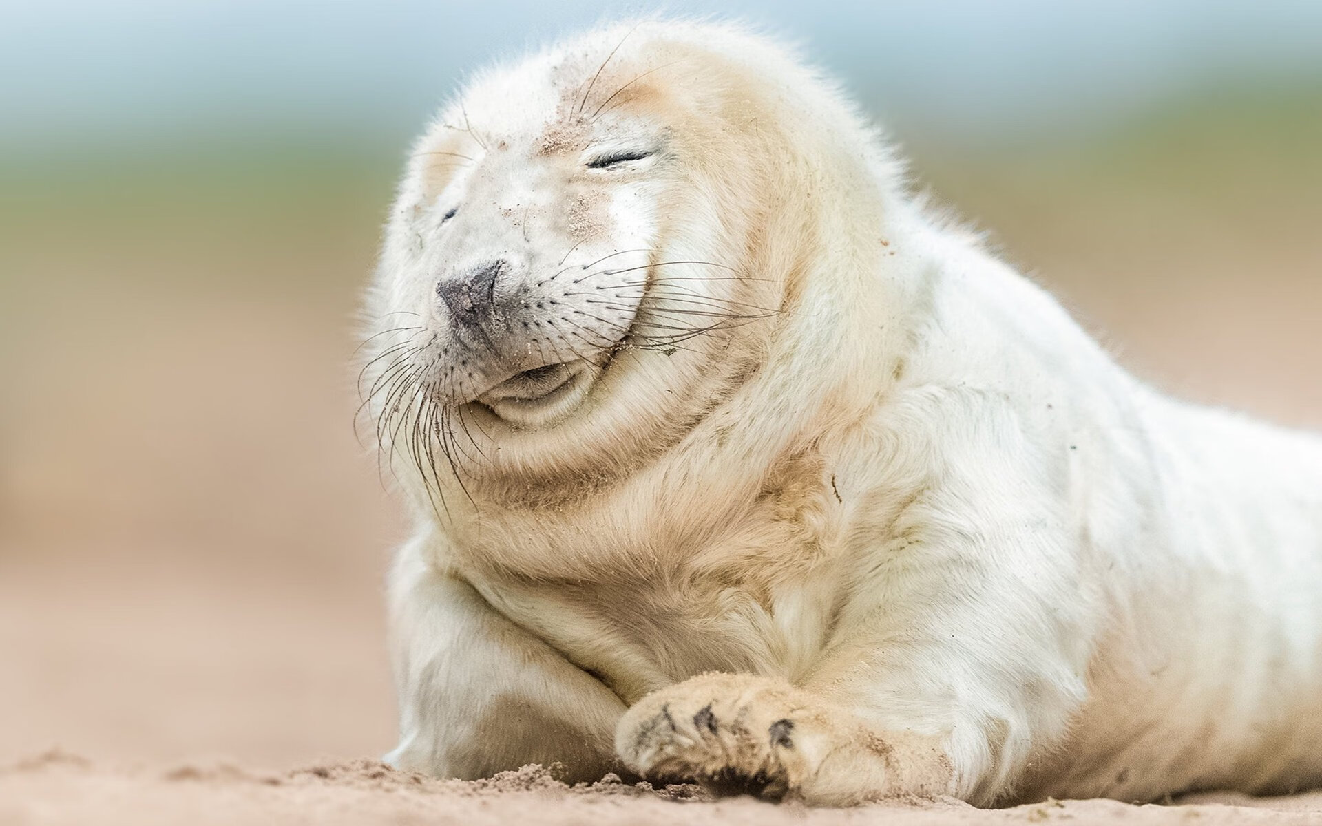 篮球世界的双重奏,步行者绝杀活塞,小贾伦欧冠半决赛接管比赛