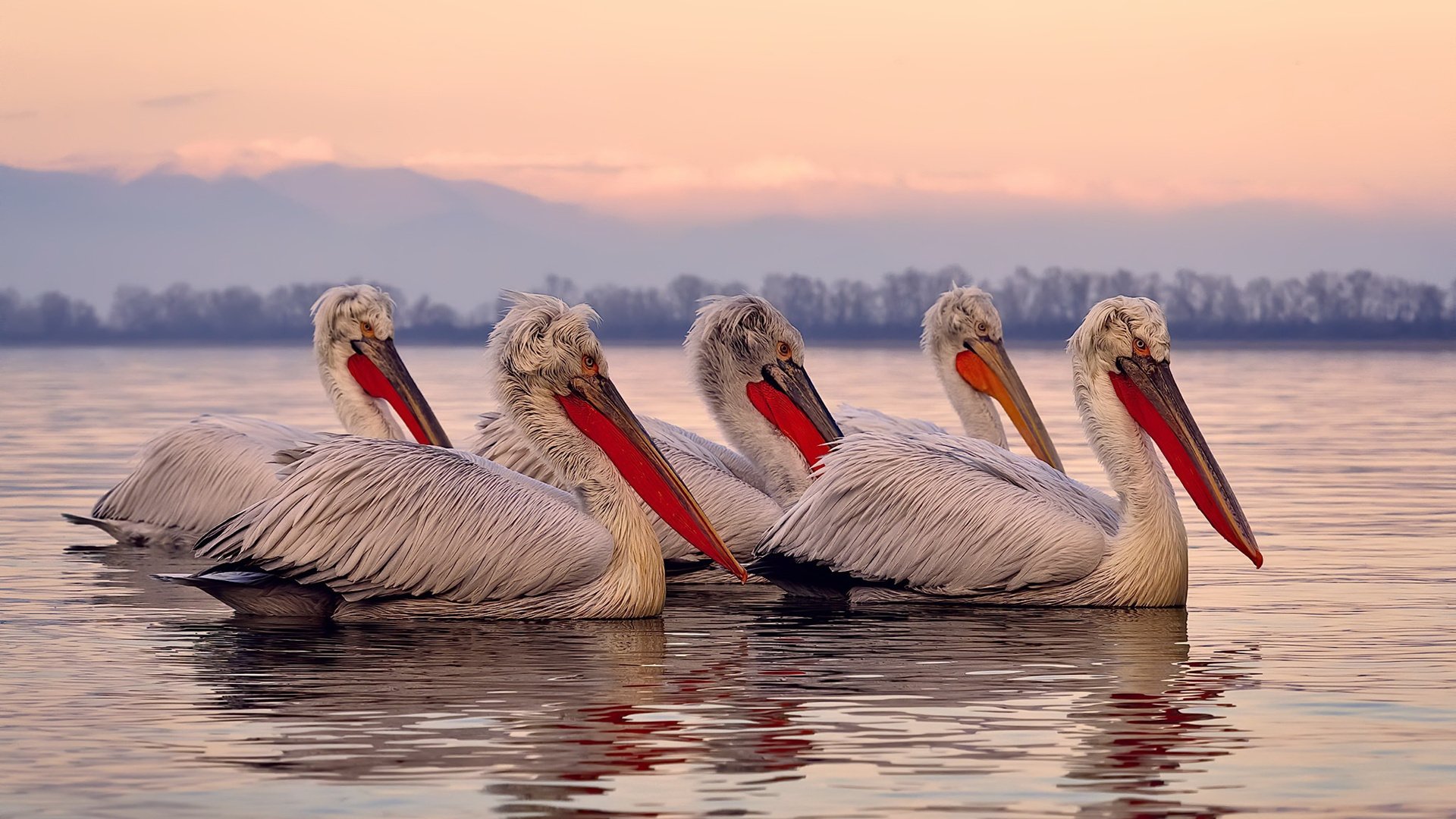 开云体育中国-轰鸣与飞驰，当F1引擎遇上绿茵闪电