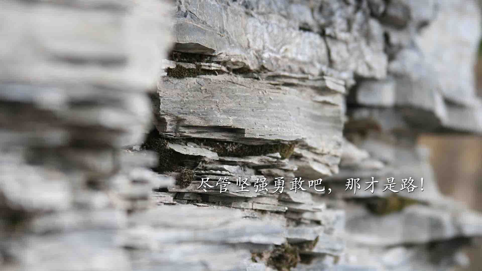 绿茵场上的单节狂潮，当布伦森如太阳般单节拉开争冠悬念