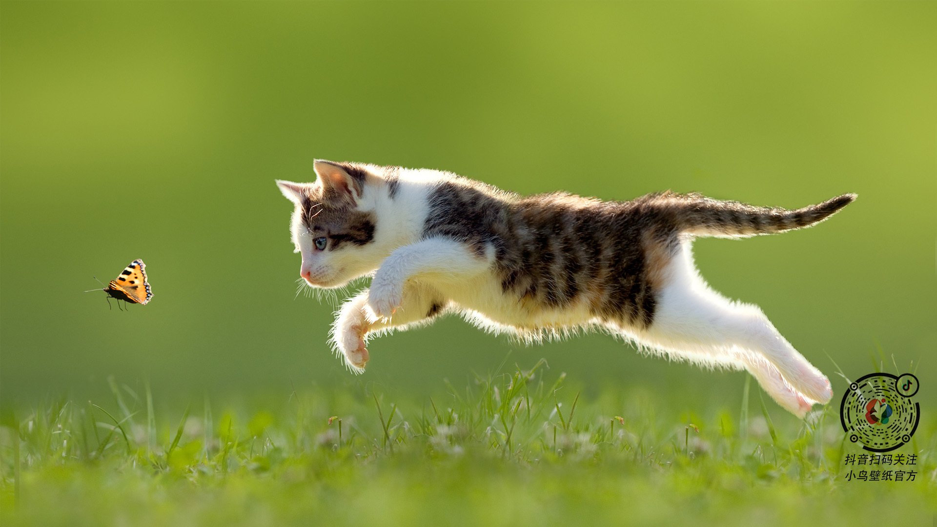 开云体育APP下载-跨洋战术博弈，当塞内加尔铁血防守遇上篮球场—记一场NBA季后赛的另类焦点战