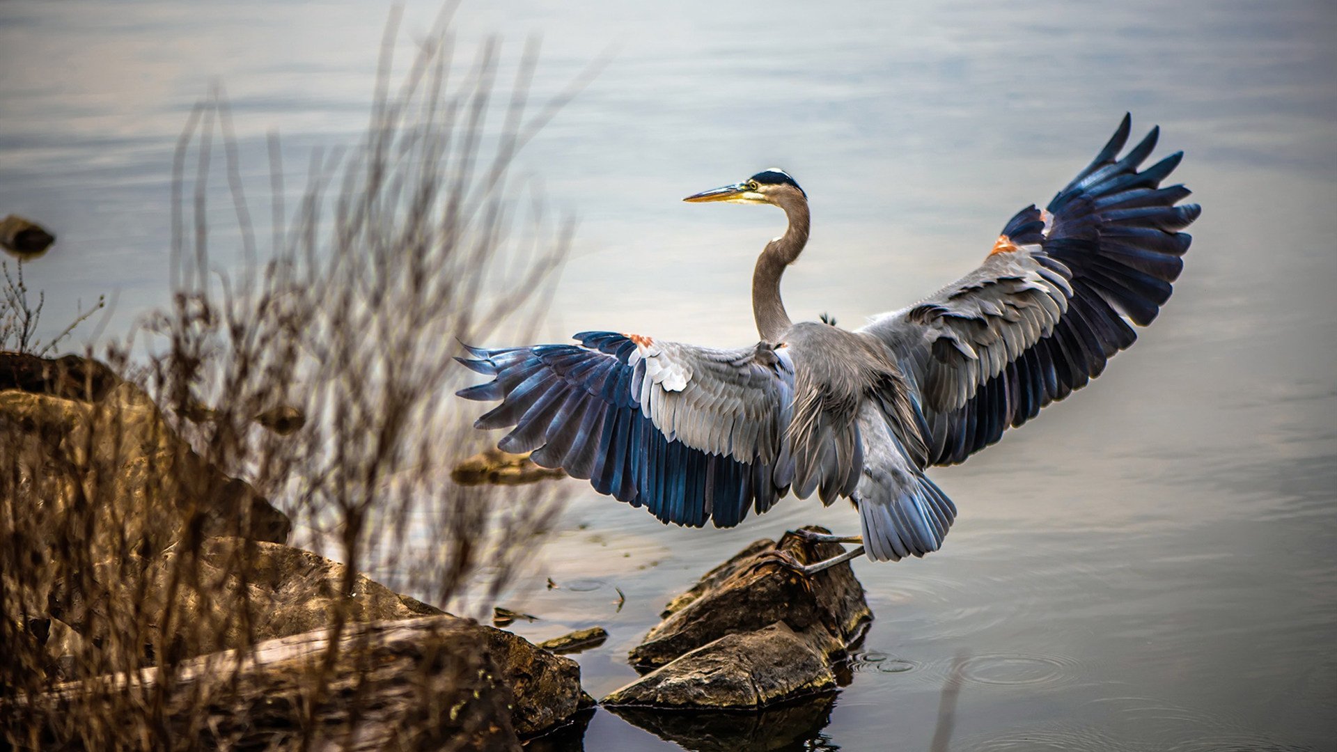英格兰红魔绝境逆袭！布鲁诺致命杀伤力撕裂红军防线