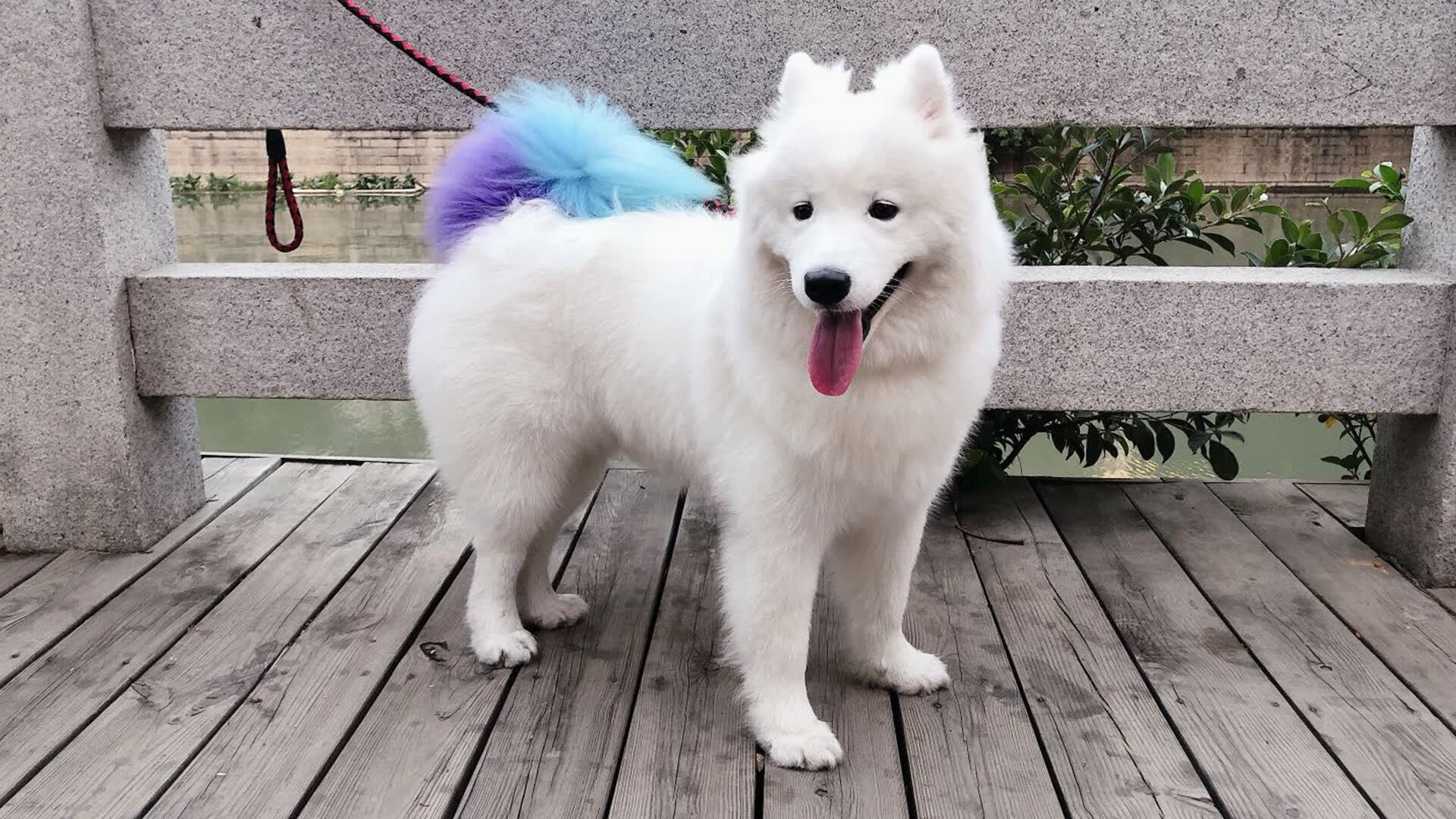 开云体育在线-山海彼岸的盛典，荣耀同一片天空