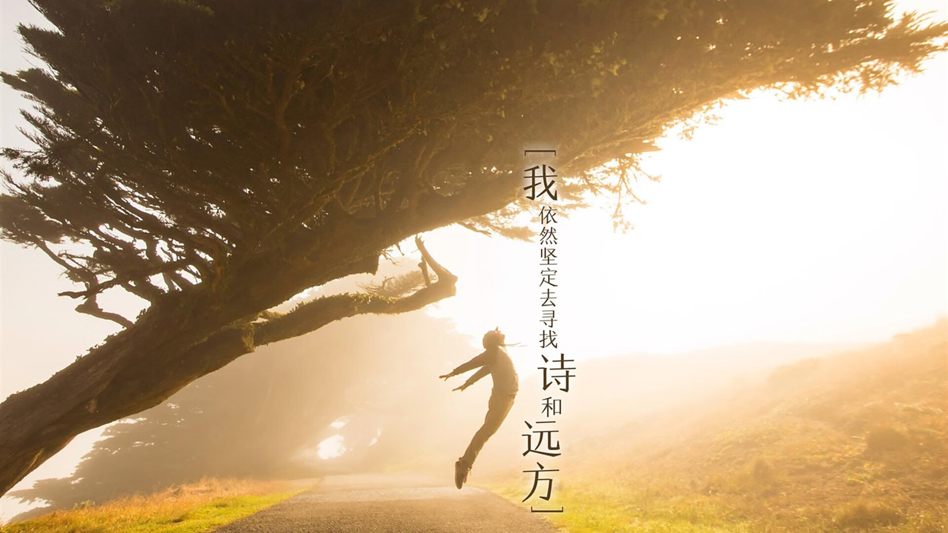 橙衣军团的最后一块拼图,巴雷拉,与那不可复制的默契瞬间