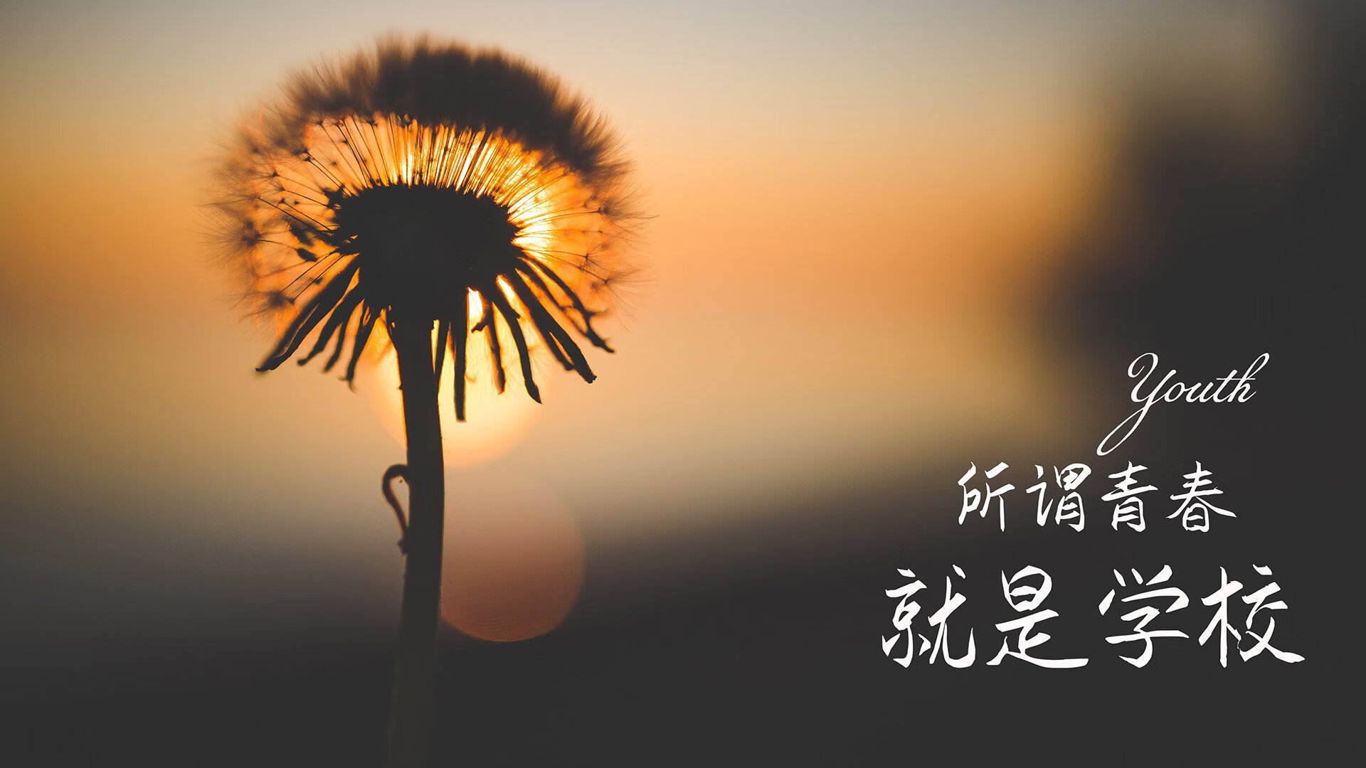 单核之夜,2026的冷雨,托纳利一个人的史诗与美国足球最锋利的一刀