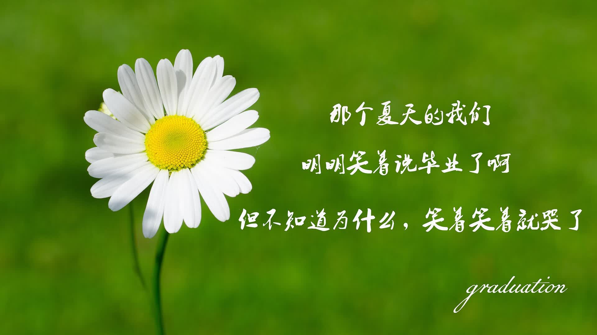 开云体育-莱万在东亚铁壁前演绎大师课，一场定义体系价值的战术革命
