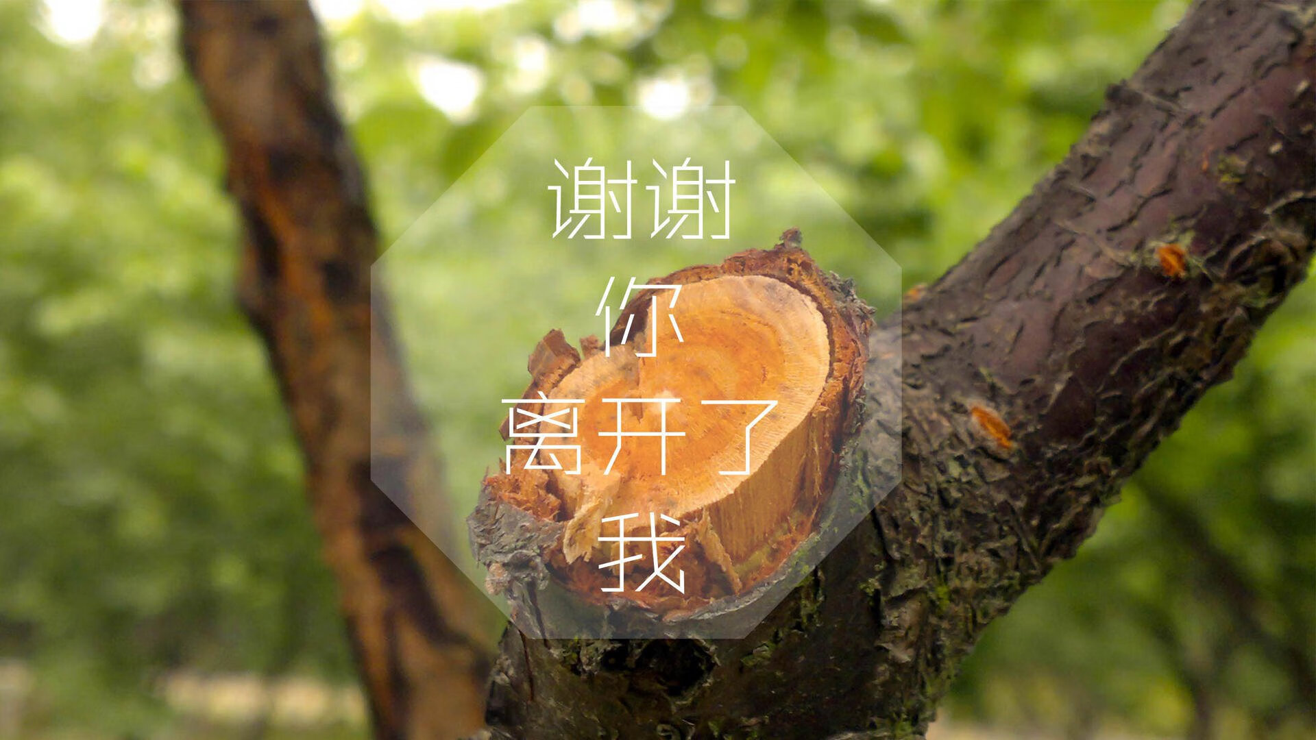 美加墨世界杯焦点战,意大利狂潮碾压智利,阿诺德一人导演进攻盛宴